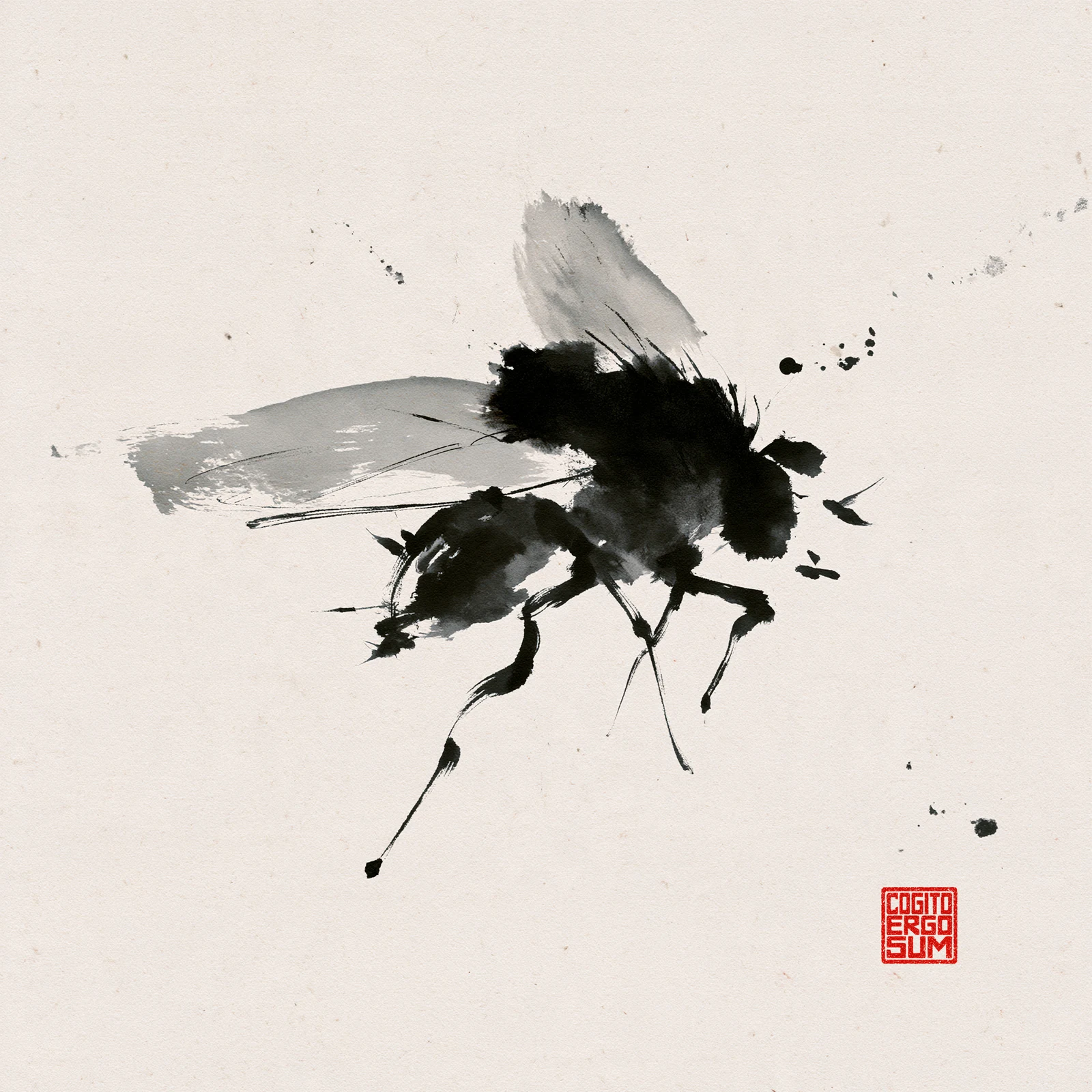 An ink painting of a fly on textured paper, with the red Cogito Ergo Sum seal.